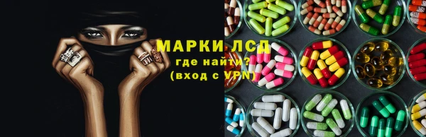 стафф Коряжма