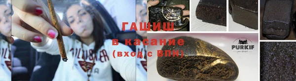 стафф Коряжма