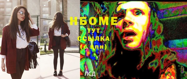 стафф Коряжма