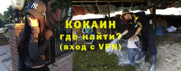 стафф Коряжма