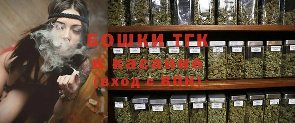 стафф Коряжма