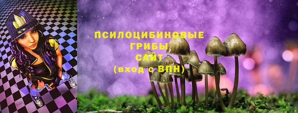 стафф Коряжма