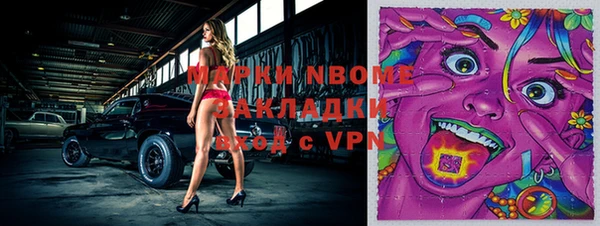 стафф Коряжма