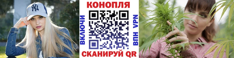 Бошки Шишки VHQ  Купить закладки  Меленки 